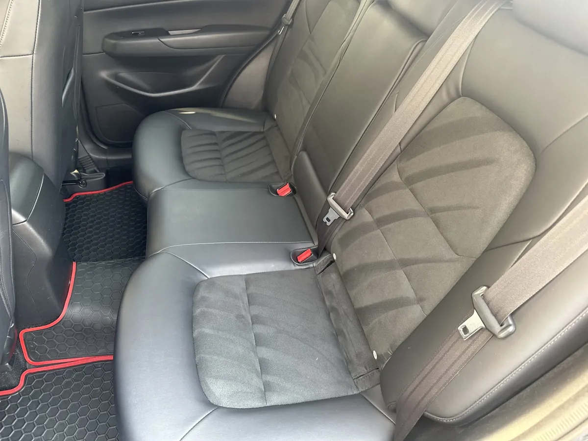 Freshly shampooed rear seats and floor mats